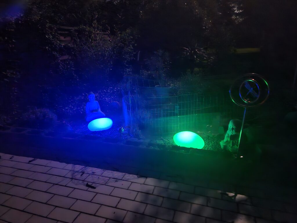 Teich bei Nacht